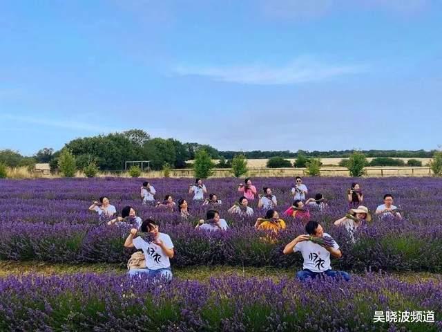 社交|社交电商2.0：左手乡村振兴，右手社群迭代 | 品牌新事