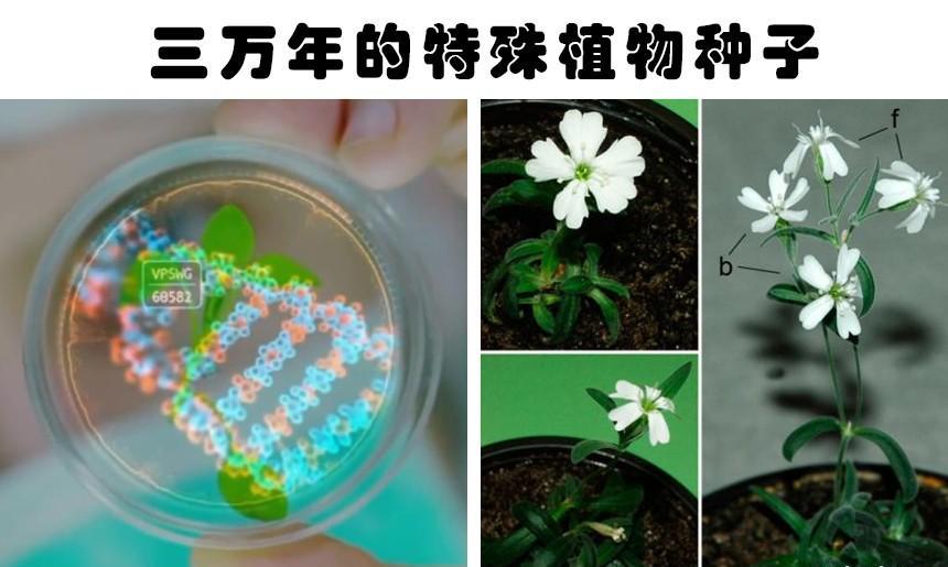 冰层里真的发现了外星人吗?盘点人们在冰里的7个奇怪发现