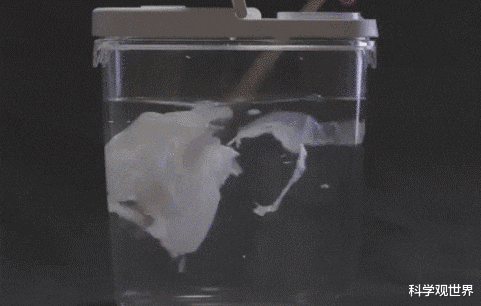 为什么家里的马桶不能把用过的手纸一起冲掉?扔纸篓里真的好吗?