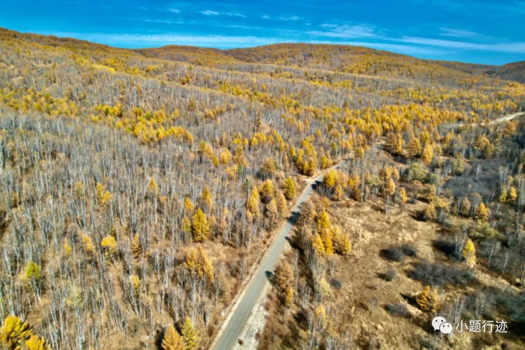 阿尔山|阿尔山的秋天可以有多美?美到醉景,美到来了不想走!