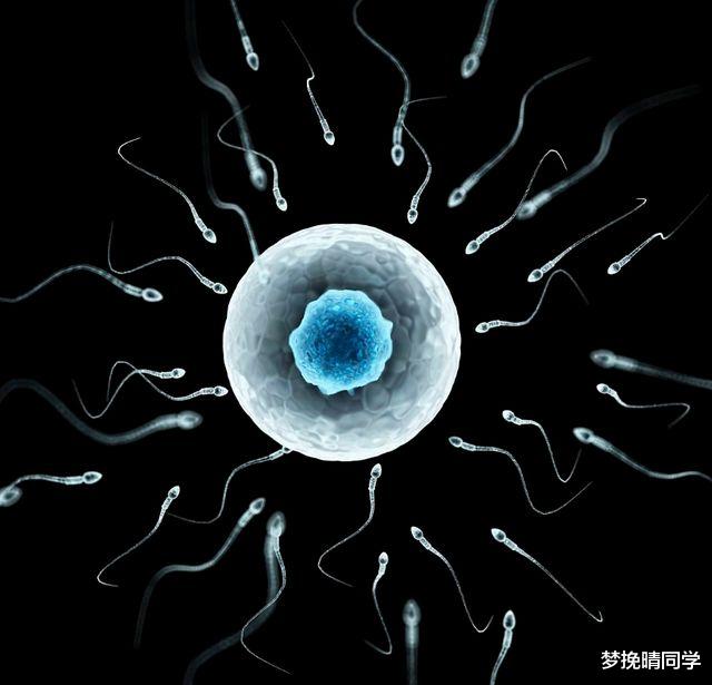 穿山甲的交配时间长达20多天,为什么后代越来越少?都是人类的错