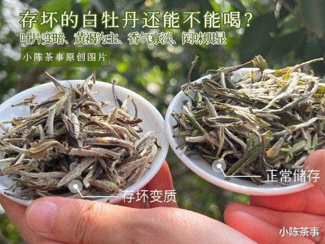 年末盘点，这7种一眼假的“老白茶”，谁买谁上当