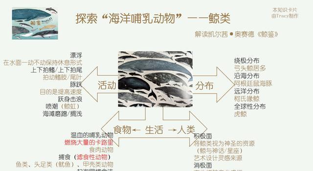 借鲸鱼女孩“禹英禑”之力，让我们重新了解哺乳动物鲸类