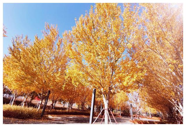 郭德纲|栾云平关于师父郭德纲涉嫌抄袭的辩解,是不是有点强词夺理?