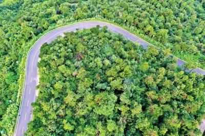 日出|汉孝“风景同赏”!旅游公路连通双峰山和木兰景区