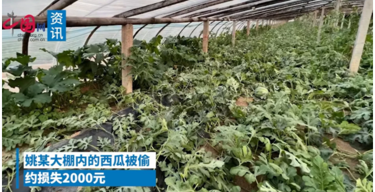 近日,山东临沂发生了一件疯狂的盗窃案!