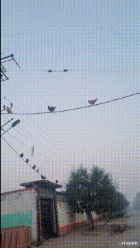 退休 北大退休的91岁老教授收入引争议:1个月工资我用1年都用不掉