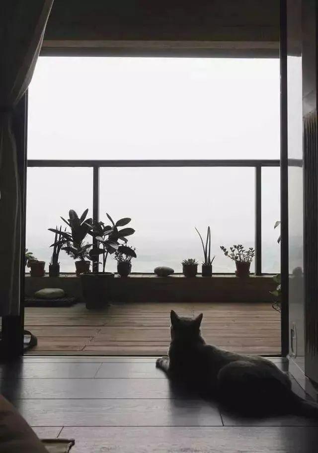 90后小夫妻任性装修，3室变1室，网友：摆明不想父母来家住！