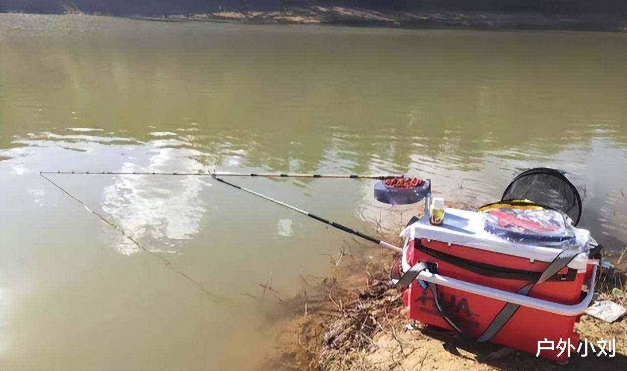 |台钓为啥用双钩,能不能用单钩或者三钩、四钩?