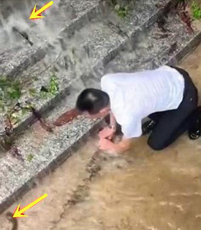 广东一男子火爆全网,西装革履冒着大雨抓鱼,网友:垃圾鱼