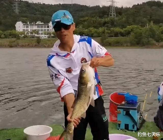 电竞新闻|王者之战变“抽鲢鳙”大赛，化氏战队出师不利，邓刚会笑到最后?