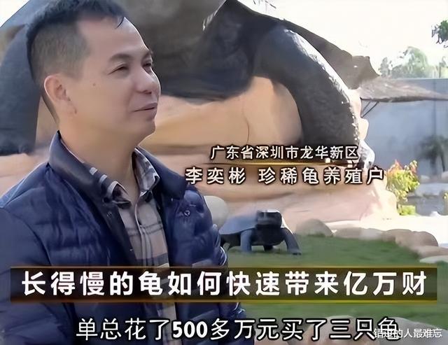男子花百万买下三只臭龟,别人都笑他傻,谁知道四年后却靠龟翻身