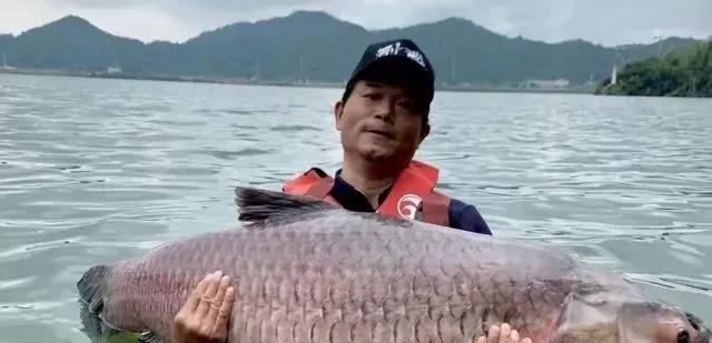 抖音|抖音上的十大钓鱼高手,最有名的邓刚的粉丝达到3248.9万