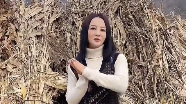 热舞|53岁陶红现身农村，穿千元马甲在草垛前扭腰热舞，模样大变认不出