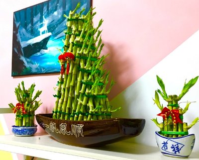 深圳风水大师耶朗：势如破竹开运法