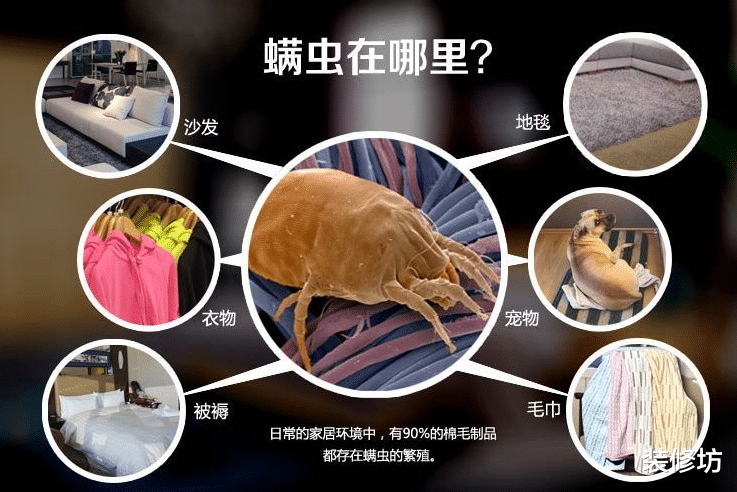 晒被子要避开这3个误区!看了才知道,原来我一直做错