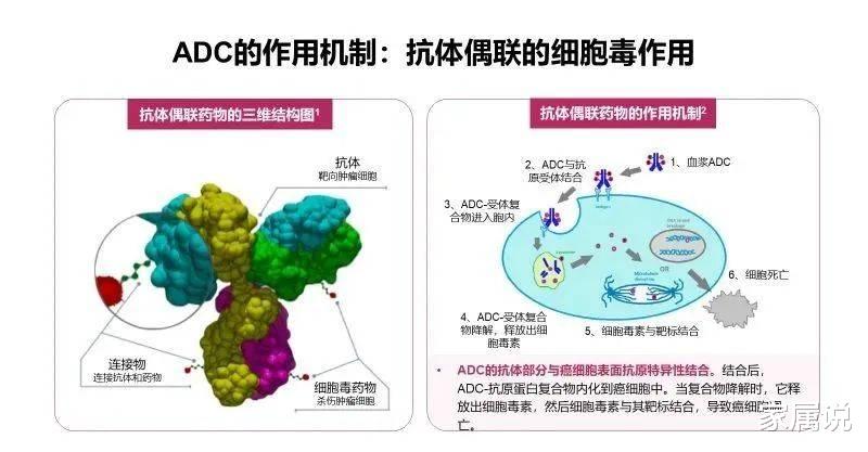 【前沿】肿瘤治疗“生物导弹”!全球及中国已上市ADC药物有哪些?