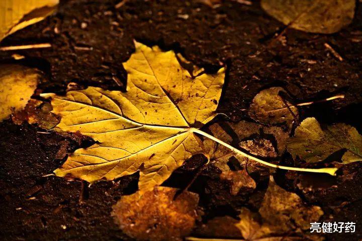 心脏|秋燥如何养肺？请收下5个小知识