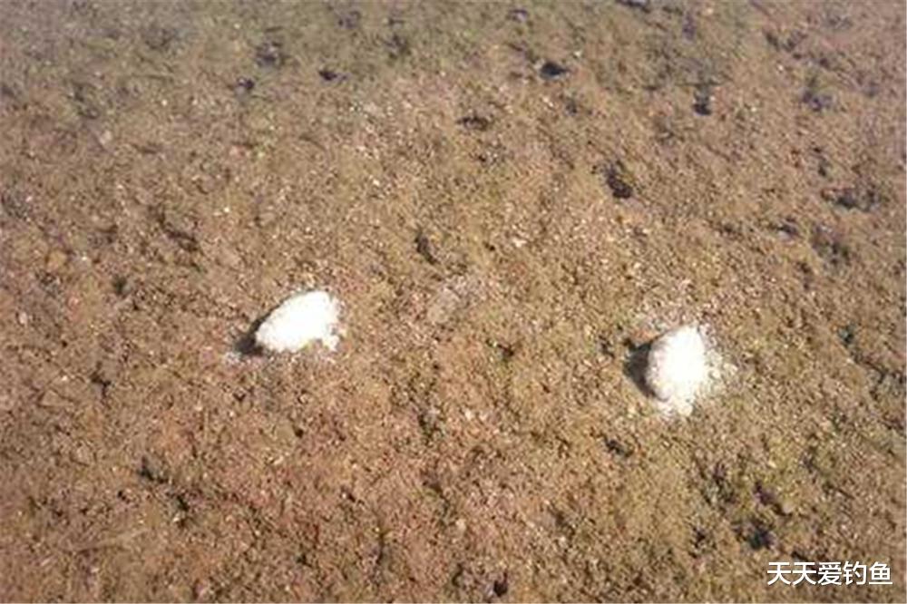 饵料|冬季野钓，钓饵不优鱼难上钩，这些民间饵料有奇效