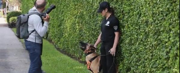 布鲁克林|贝克汉姆长子大婚当日穿睡衣现身，邋遢形象再遭吐槽