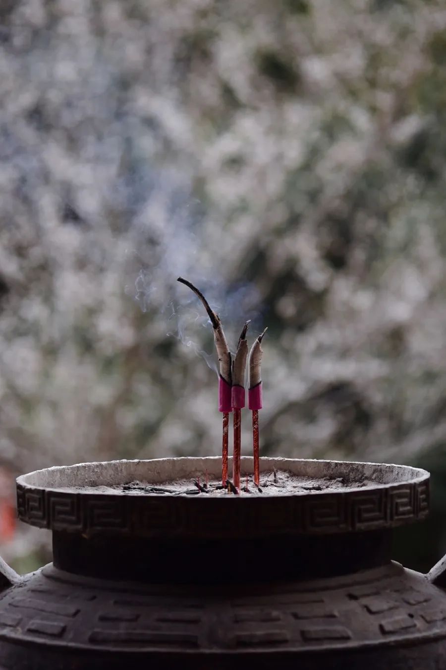 昆山|中国人对时间的雅称，有多美？