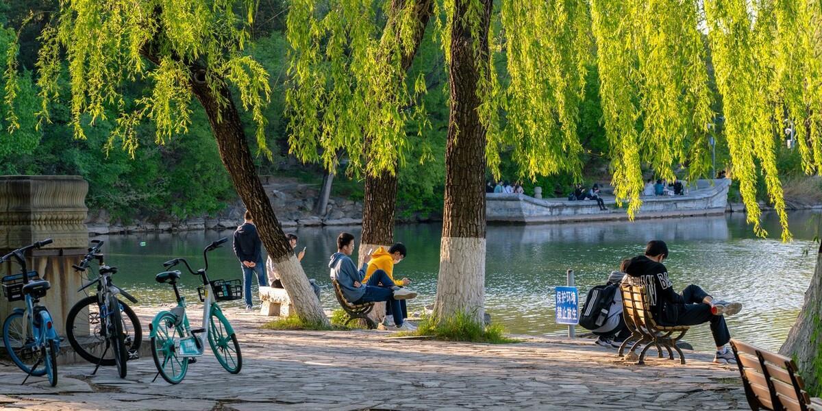 求职|北大硕士找工作未果,回郑州应聘老师成功,为何学霸比师范生强?