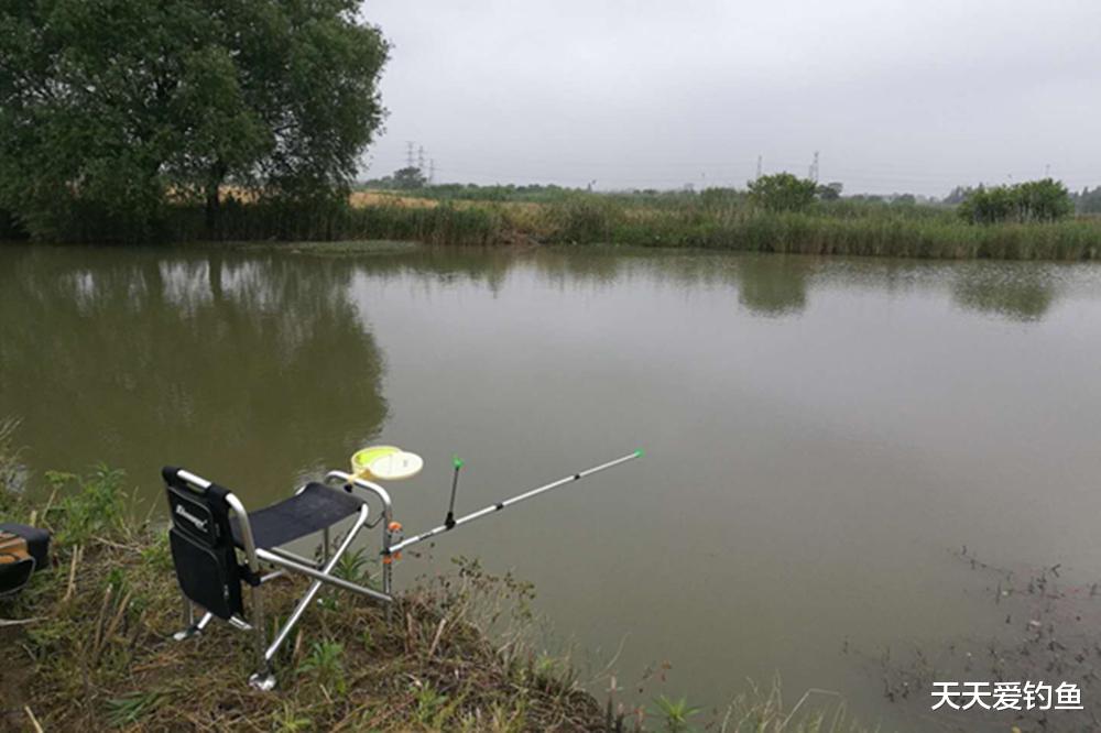 农村奇闻|仲秋野钓,这2种天气大鱼吃口猛,想不爆护都难
