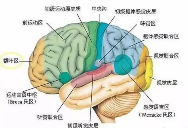 古埃及法老著名实验:把婴儿聚一起,不教说话,会产生新语言吗?
