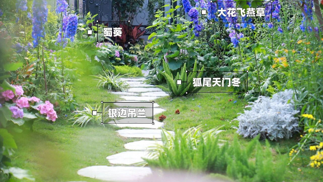 凌乱小院，自己动手搭配改造，变身浪漫的英式小花园