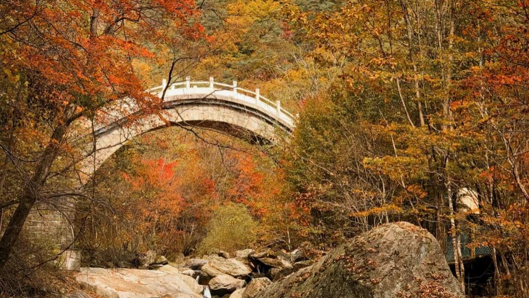阿尔山|秋天中国最美的6个地方，人少景美，有你的家乡吗？
