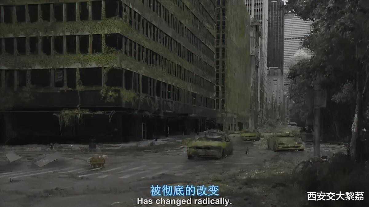 人类消失之后的世界