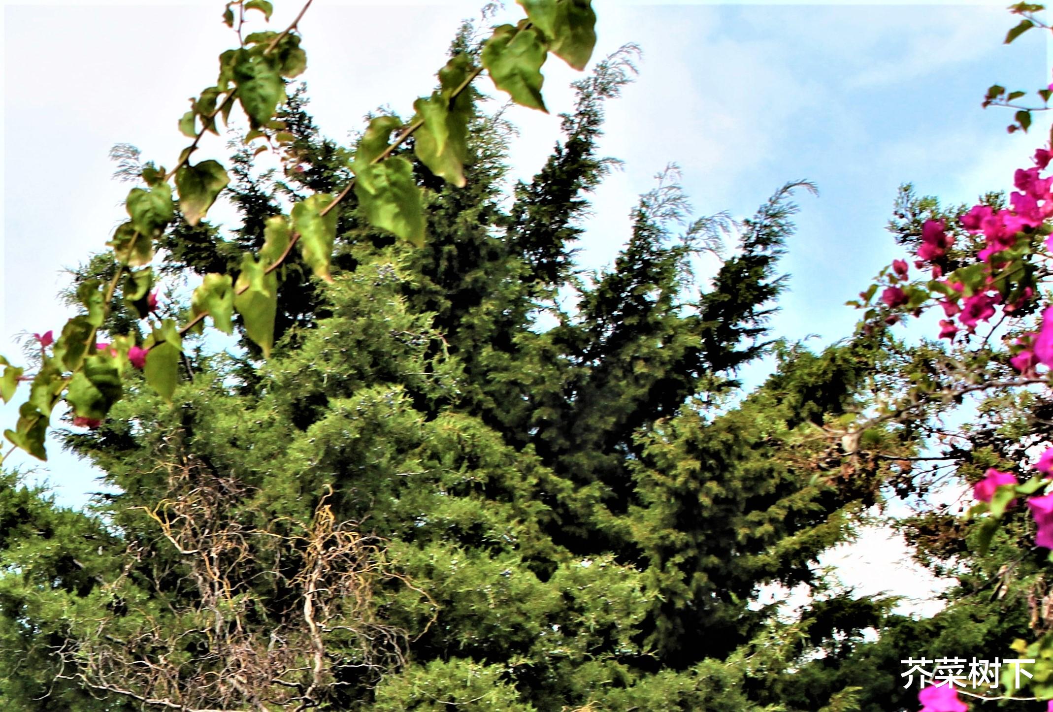 |职场无用功,果真一无是处?