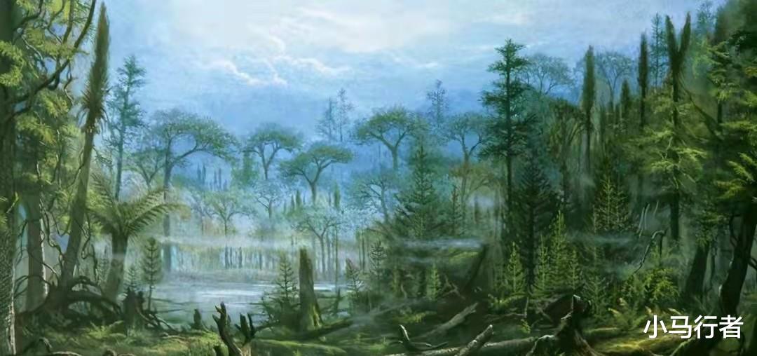 煤层是植物演化而来的?那百米厚的煤层,需要多少植物堆在一起?