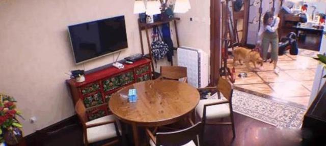 参观袁弘张歆艺的豪宅,客厅放黑色沙发和茶几,看着不会压抑吗