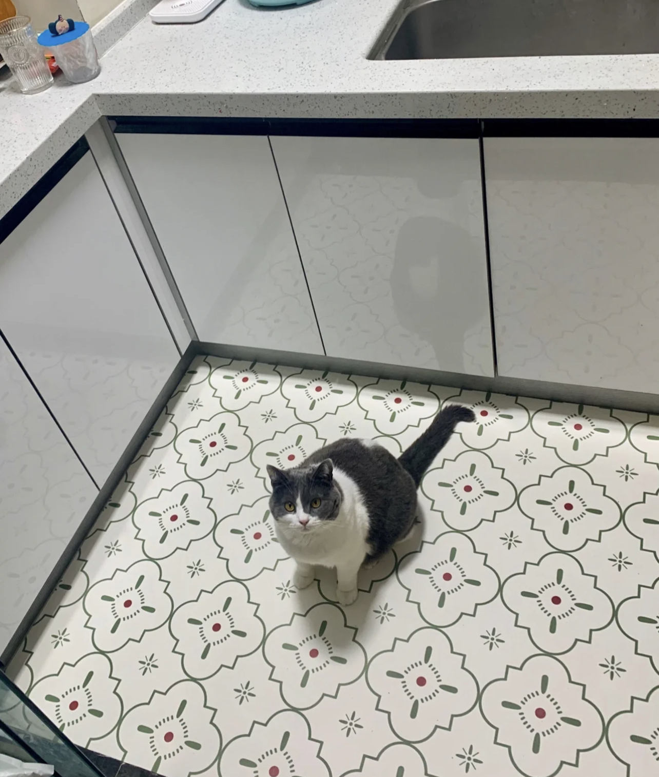 差生文具多!别看我下厨不行,但厨房工具却都能买到我妈心坎里!