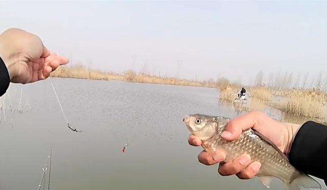 黑色沙漠手游|钓鱼总是脱钩跑鱼？原来是这些原因