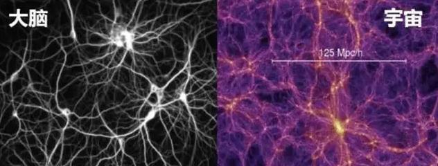 一个惊人的理论:宇宙星系和大脑神经十分相似,难道宇宙是活的?