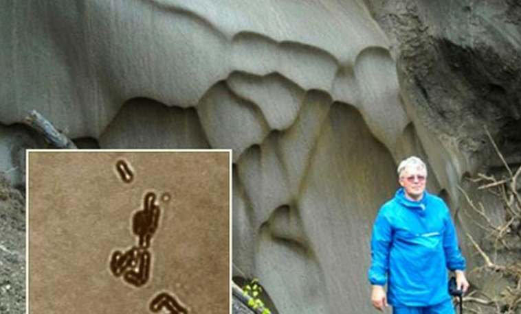 科学家为求“永生”,将350万年前的活细菌注射进体内,后来怎样