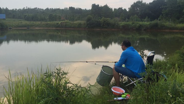 |补窝之后为什么没鱼了？补窝也要讲究方法