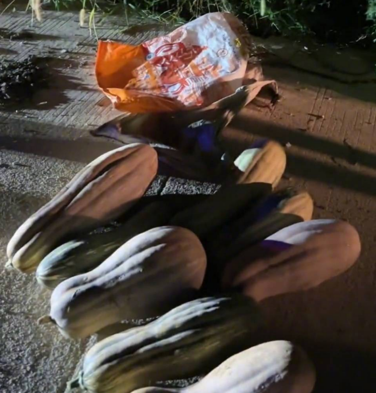 “我死了你赔不起!”武汉偷瓜老年团惹怒全网:不是老人变坏,是坏人变老了!