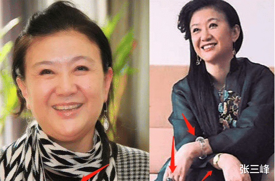 主持人|国内赚钱国外花，这8位知名主持人移居国外，生活奢侈生外籍孩子