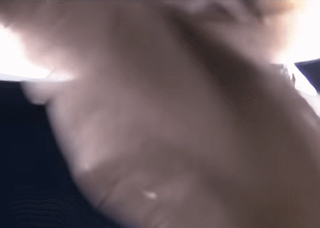 唇釉 拜托,她可是刘亦菲啊