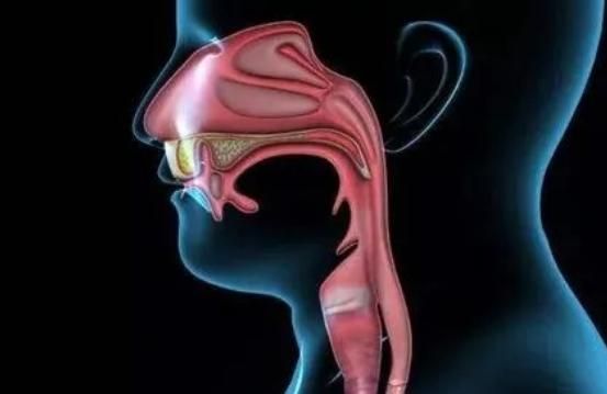 面条|长期吃面条,对身体有益还是有害呢?不妨听听医生怎么说