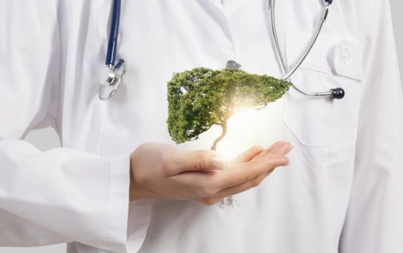 肝硬化|肝硬化出现脾大是早期还是晚期?