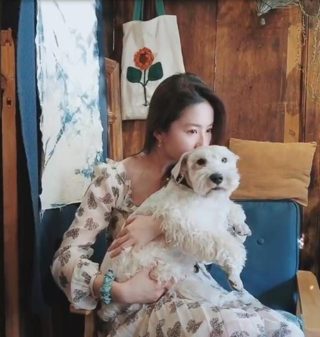 刘亦菲|刘亦菲首次发布大理日常Vlog，小猫小狗成主角，跟她抢食