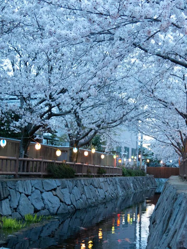埼玉县|日本社交网络上点赞最多的美景前10，竟然是这些地方