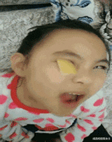 “沙漠里看到的蜥蜴,这个故事要告诉我们什么?”评论内涵了
