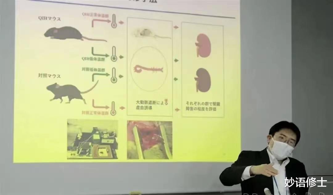 新研究突破!中国或将开启“人工冬眠”之路?可为太空探索铺平道路?