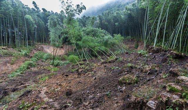 购房置业|地震造成贷款买的房子倒塌，房贷还需要还吗？银行会如何处理？