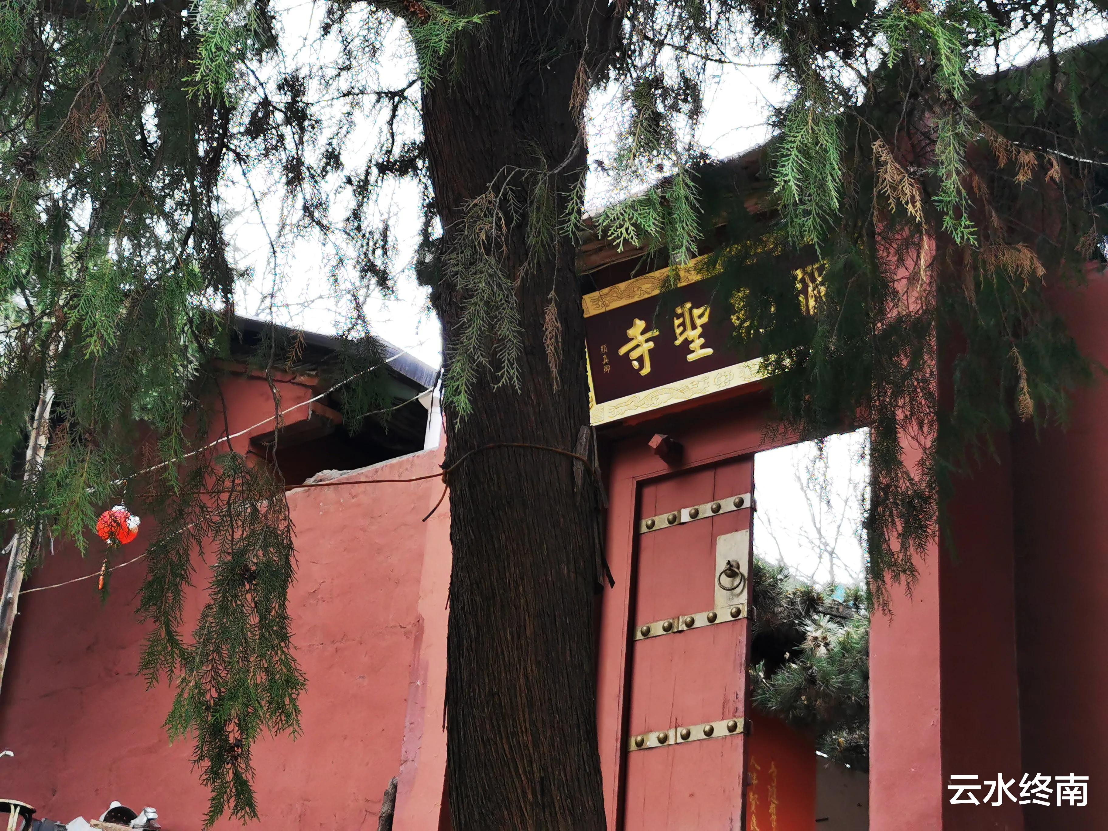 弥勒|海拔900米的秦北麓还有10多亩毛竹林,真是神奇